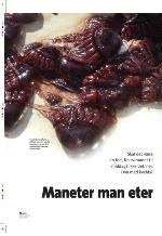 aftenbladet_pluss-20091016_000_00_00_024.pdf