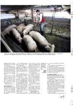 aftenbladet_pluss-20091023_000_00_00_017.pdf