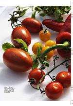 aftenbladet_pluss-20091023_000_00_00_033.pdf