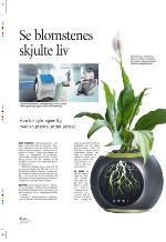 aftenbladet_pluss-20091030_000_00_00_006.pdf