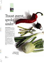 aftenbladet_pluss-20091106_000_00_00_032.pdf