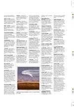 aftenbladet_pluss-20091211_000_00_00_043.pdf