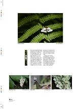 aftenbladet_pluss-20091218_000_00_00_014.pdf
