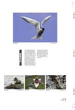 aftenbladet_pluss-20091218_000_00_00_015.pdf