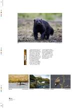 aftenbladet_pluss-20091218_000_00_00_016.pdf