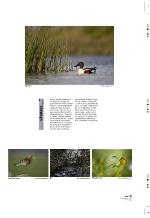 aftenbladet_pluss-20091218_000_00_00_017.pdf