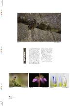 aftenbladet_pluss-20091218_000_00_00_018.pdf