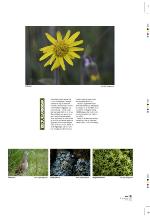 aftenbladet_pluss-20091218_000_00_00_019.pdf