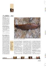 aftenbladet_pluss-20100108_000_00_00_013.pdf