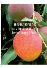 aftenbladet_pluss-20100108_000_00_00_022.pdf