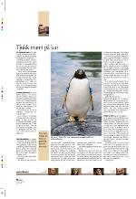 aftenbladet_pluss-20100115_000_00_00_012.pdf
