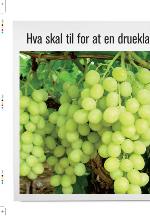 aftenbladet_pluss-20100205_000_00_00_002.pdf