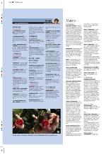 aftenbladet_pluss-20100305_000_00_00_036.pdf