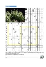 aftenbladet_pluss-20100305_000_00_00_054.pdf