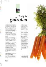 aftenbladet_pluss-20100319_000_00_00_032.pdf
