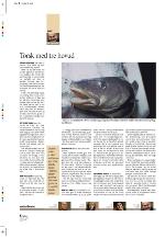 aftenbladet_pluss-20100409_000_00_00_008.pdf