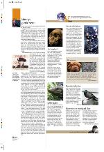 aftenbladet_pluss-20100423_000_00_00_010.pdf