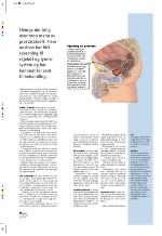 aftenbladet_pluss-20100423_000_00_00_018.pdf