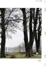 aftenbladet_pluss-20100507_000_00_00_021.pdf