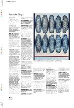 aftenbladet_pluss-20100514_000_00_00_038.pdf