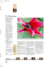 aftenbladet_pluss-20100528_000_00_00_010.pdf