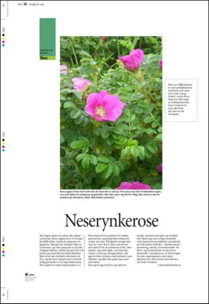 aftenbladet_pluss-20100625_000_00_00_016.pdf