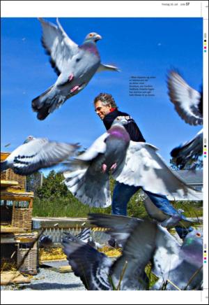aftenbladet_pluss-20100716_000_00_00_017.pdf