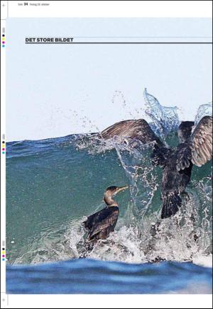 aftenbladet_pluss-20101029_000_00_00_034.pdf