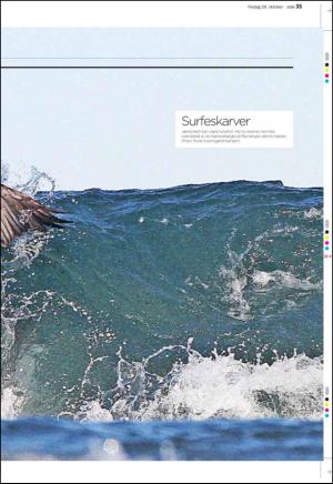 aftenbladet_pluss-20101029_000_00_00_035.pdf