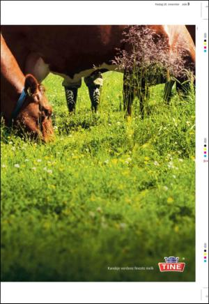 aftenbladet_pluss-20101119_000_00_00_003.pdf