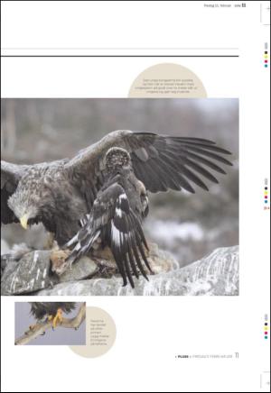 aftenbladet_pluss-20110211_000_00_00_011.pdf