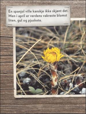 aftenbladet_pluss-20110429_000_00_00_014.pdf