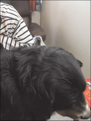 aftenbladet_pluss-20110513_000_00_00_011.pdf