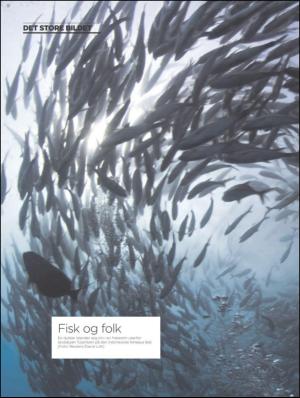 aftenbladet_pluss-20110520_000_00_00_024.pdf