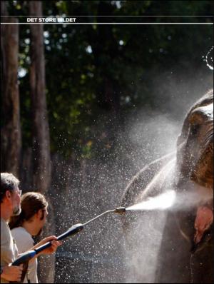 aftenbladet_pluss-20110826_000_00_00_024.pdf