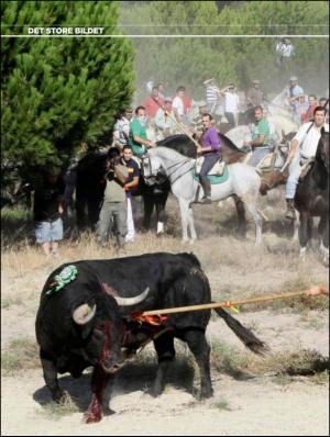 aftenbladet_pluss-20110916_000_00_00_024.pdf