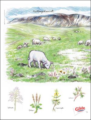 aftenbladet_pluss-20110930_000_00_00_046.pdf