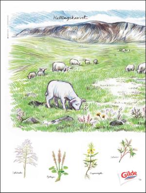 aftenbladet_pluss-20111014_000_00_00_050.pdf