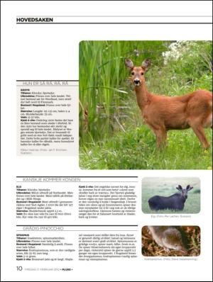 aftenbladet_pluss-20120217_000_00_00_010.pdf