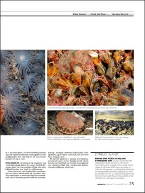 aftenbladet_pluss-20120803_000_00_00_025.pdf