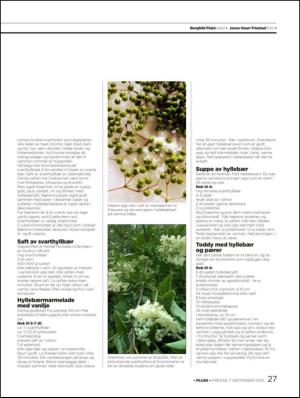 aftenbladet_pluss-20120907_000_00_00_027.pdf