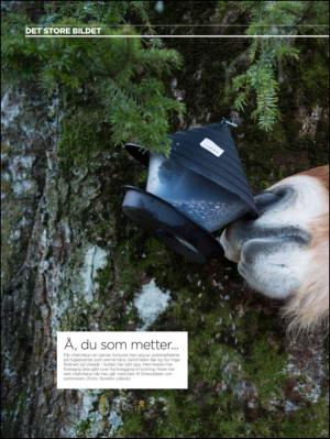 aftenbladet_pluss-20130118_000_00_00_028.pdf