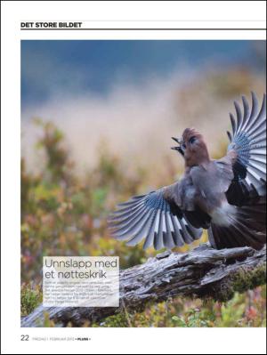 aftenbladet_pluss-20130201_000_00_00_022.pdf