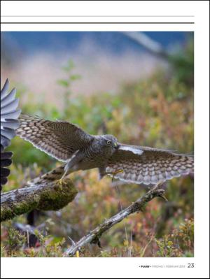 aftenbladet_pluss-20130201_000_00_00_023.pdf