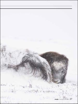 aftenbladet_pluss-20130503_000_00_00_027.pdf