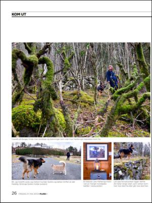 aftenbladet_pluss-20130531_000_00_00_026.pdf