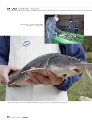 aftenbladet_pluss-20130607_000_00_00_018.pdf