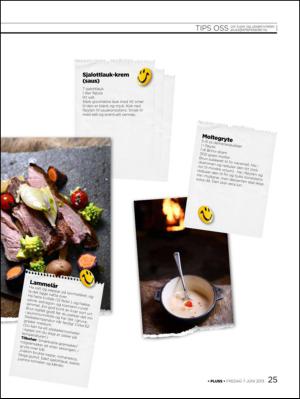 aftenbladet_pluss-20130607_000_00_00_025.pdf