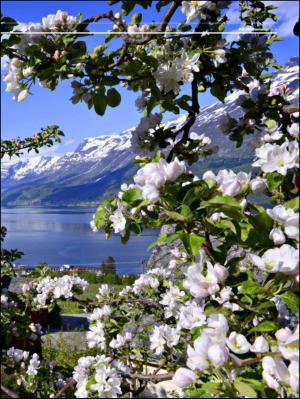 aftenbladet_pluss-20130607_000_00_00_027.pdf