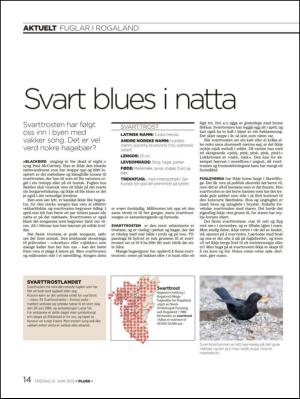 aftenbladet_pluss-20130621_000_00_00_014.pdf